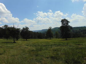 Improvement Only - Land