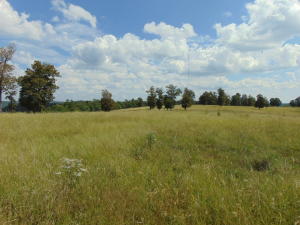 Improvement Only - Land