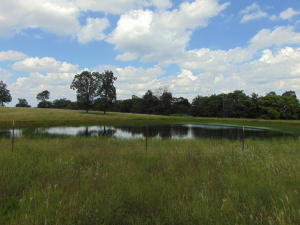 Improvement Only - Land