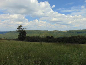 Improvement Only - Land