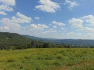 Improvement Only - Land