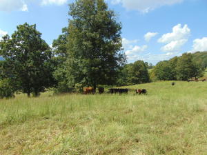 Improvement Only - Land