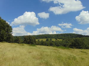 Improvement Only - Land