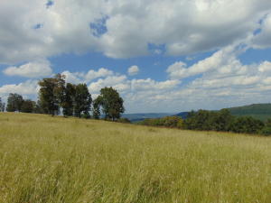 Improvement Only - Land