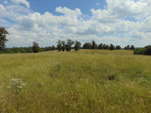 Improvement Only - Land