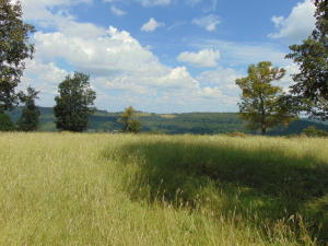 Improvement Only - Land