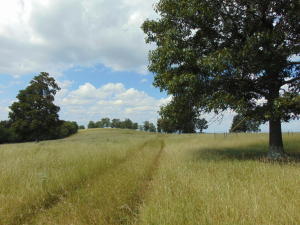 Improvement Only - Land