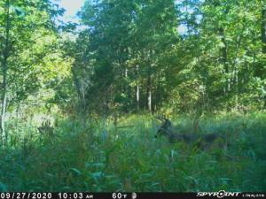 Improvement Only - Land