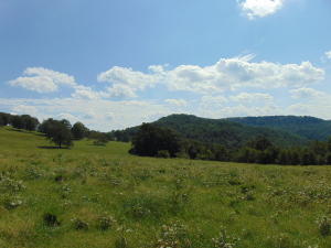 Improvement Only - Land