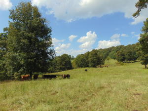 Improvement Only - Land