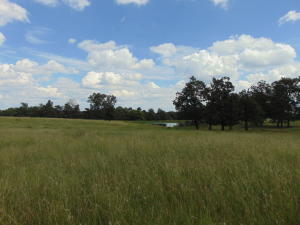 Improvement Only - Land