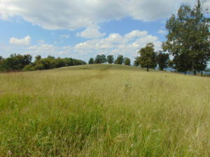 Improvement Only - Land