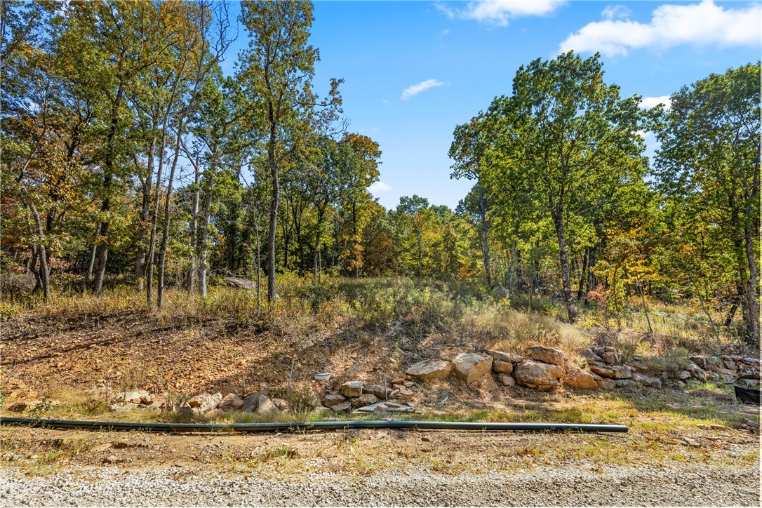 Welcome to Lot 102 (1.00 m/l ac) on Restore Ridge in Round Mountain Estates. This lot has striking views to the northwest, is mostly cleared and features large indigenous boulders that will remind you of Colorado! RME is a new, master planned, exclusive subdivision located 10 minutes west of Harrison, AR. The following utilities are already on site making the building process much easier for you; natural gas, fiber optic internet, electric, public water, and sewer. Interested in your family seeing the star lights instead of those city lights? RME is what you've been searching for! RME features a 350 +/- acre common area for its residents that includes a stocked fishing pond, Kissing Rock trail, natural springs to explore, Baby Canyon trail, incredible bluff lines to climb, and views for hundreds of miles that will not only take your breath away but will forever be etched in your memory! Neighborhood amenities coming soon.