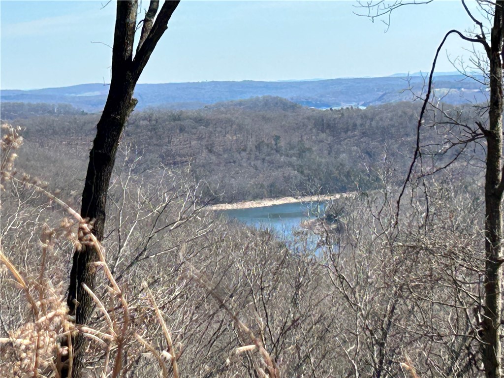 Beautiful wooded 22.42 Acres with seasonal lake view! This land offers you seclusion and privacy, but only 35 minutes from downtown Bentonville. Great land to create your weekend getaway or build your dream home! No restrictions. Hunt or fish! Lake access is only 2 miles away. Wildlife all around! Building sites are marked with red tape.
Road is cut in, but please pull in and park and walk the road. Road crosses from one side of land to the other.