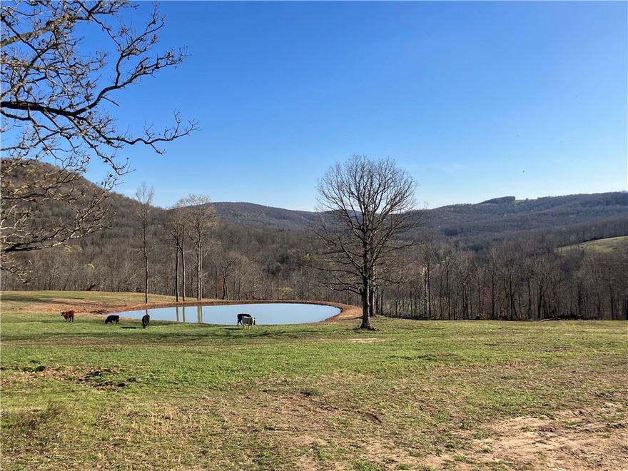 Experience country living at its best in this charming home located just outside of the historic town of Kingston AR. Home is constructed of stucco giving a unique and natural feel with Andersen windows, excellent insulation and sustainability. Renovation in 2023 includes new paint, cabinets, countertops and HVAC system.The open concept makes for a much larger feel. Two bed and 1 bath make up the living quarters, there is a full unfinished full basement that offers numerous possibilities. In addition to the 425 sq. ft covered porch, owners have added a 300 sq ft deck to enjoy the breathtaking sunrises and sunsets. Buried electric, fiber optic and well water are just a few features that enhance this properties comfort and convenience. The home sits on 40 acres that offers a near 360 view of the surrounding mountains. Property is partially fenced and mostly open with approx. 5 acres in woods. It offers a small catch pen for livestock, 3 ponds, one of which is stocked. Will sell with more or less acreage!