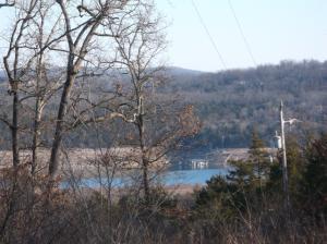 Single wide older home; view of Bull Shoals lake; mobile has been vacant 8 years; 1 stall horse barn; workshop building & metal storage building; well is approximately 250 ft. deep and pumps 25 gallons/minute; seller is willing to have mobile removed; land was cleared but need brush hogging; owner will consider owner finance