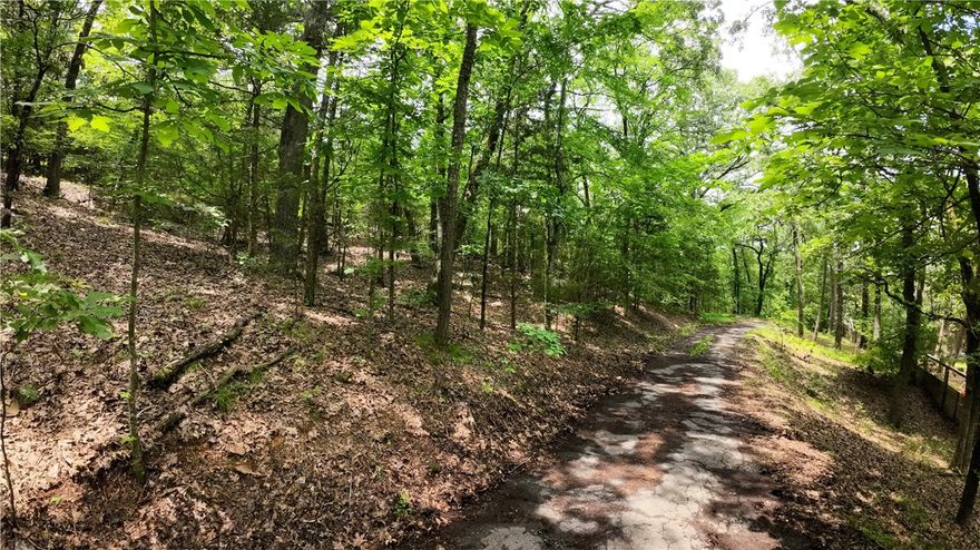 Land For Sale! – Discover this beautiful, wooded property just off Long Gum Lane in Russellville, Arkansas. Situated outside the city limits and not in a subdivision. 

Key Features: Wooded lot offers privacy & natural beauty. Water meter already on site – ready for your dream build. It's located just minutes from I-40, Arkansas Nuclear One, & Lake Dardanelle – great for work and recreation. The property is also less than 15 minutes to downtown Russellville. 

If you're looking for a peaceful homesite or an investment opportunity, this property is for you! Contact an agent today to schedule a viewing.