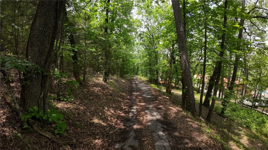 Land For Sale! – Discover this beautiful, wooded property just off Long Gum Lane in Russellville, Arkansas. Situated outside the city limits and not in a subdivision. 

Key Features: Wooded lot offers privacy & natural beauty. Water meter already on site – ready for your dream build. It's located just minutes from I-40, Arkansas Nuclear One, & Lake Dardanelle – great for work and recreation. The property is also less than 15 minutes to downtown Russellville. 

If you're looking for a peaceful homesite or an investment opportunity, this property is for you! Contact an agent today to schedule a viewing.