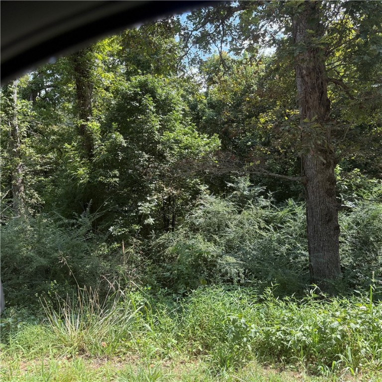 Monte NE Shores Unit 2 Rurban - Land