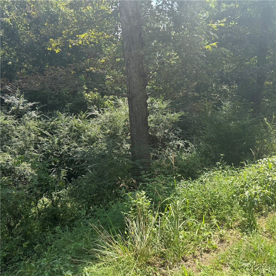 Monte NE Shores Unit 2 Rurban - Land