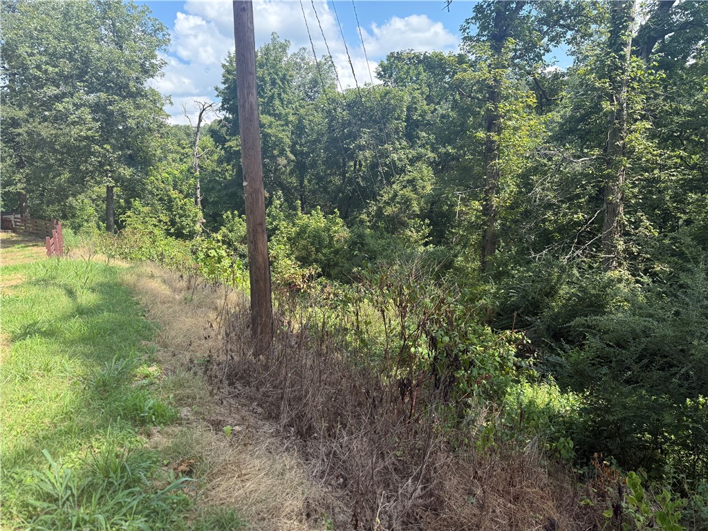 Monte NE Shores Unit 2 Rurban - Land