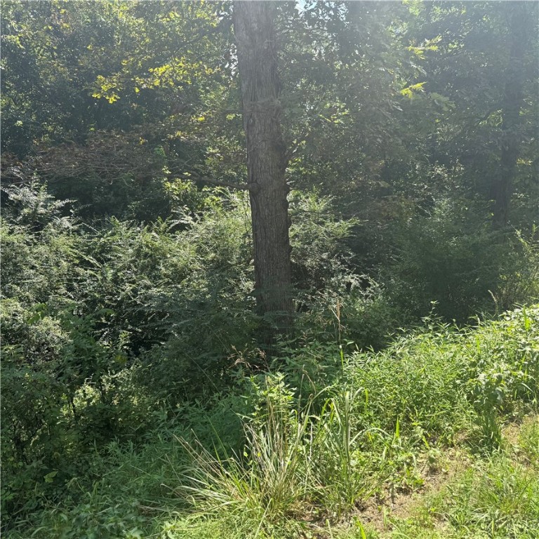 Monte NE Shores Unit 2 Rurban - Land