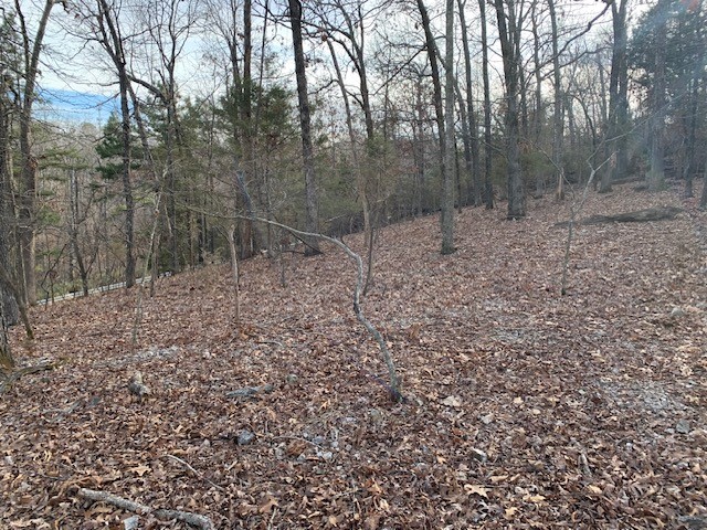 Island View Estates Rurban - Land