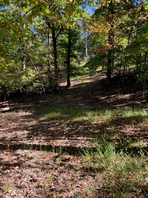 Island View Estates Rurban - Land
