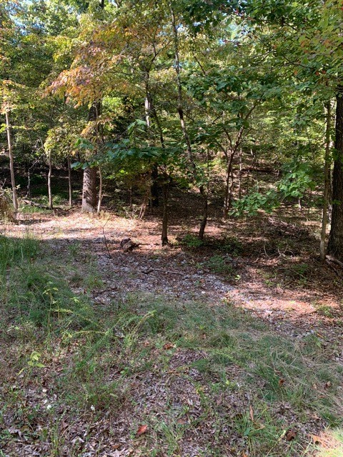 Island View Estates Rurban - Land