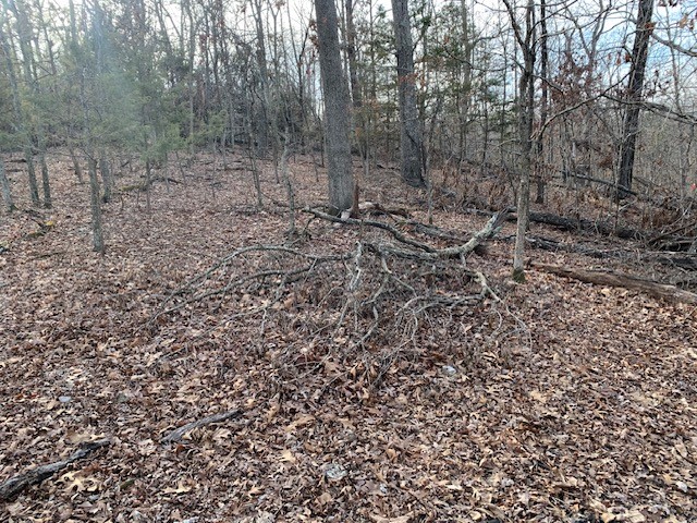 Island View Estates Rurban - Land