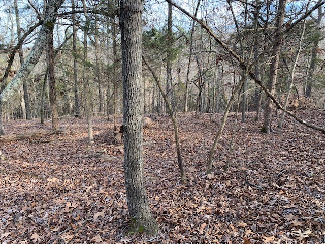 Island View Estates Rurban - Land