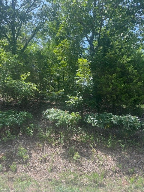 Island View Estates Rurban - Land
