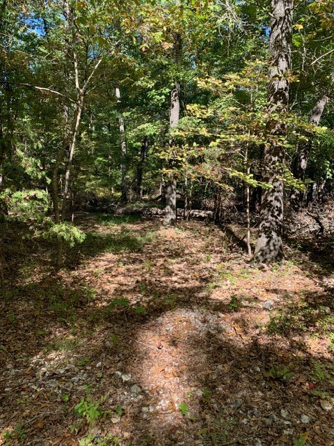 Island View Estates Rurban - Land