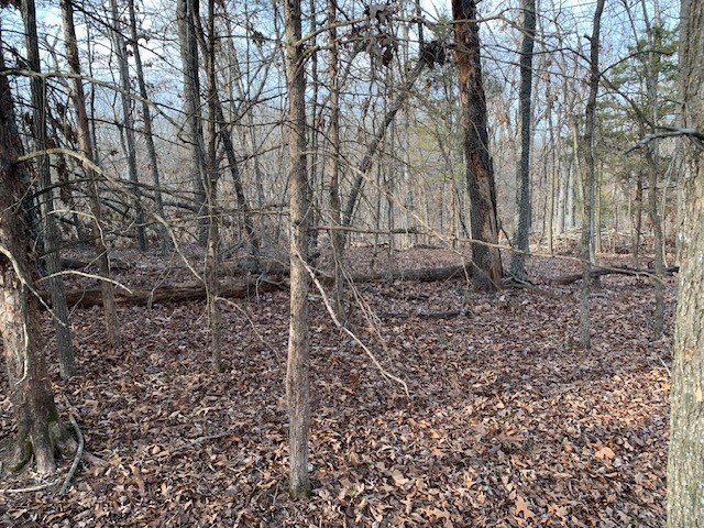Island View Estates Rurban - Land
