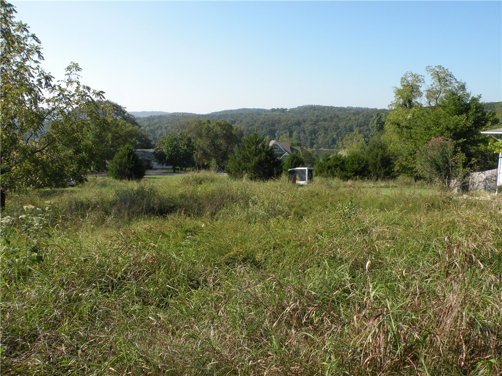 Flat lot 3 tiers up from Table Rock Lake. Close to recreation center and 9-hole golf course. Nice view.