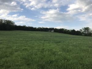 Gorgeous 8 acres m/l of level to rolling land. Apprx 6 acres in pasture with pine trees on the other 2 acres. Fenced on three sides of property. Valley Springs water and electric available.