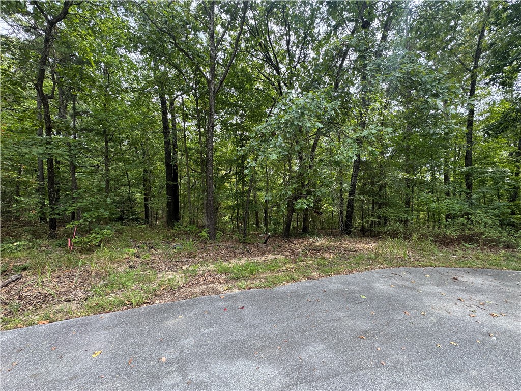 We already have a SURVEY and PERC test done ! Really nice and flat at the road! Seller just couldn't fit their particular house plan. Come and see!