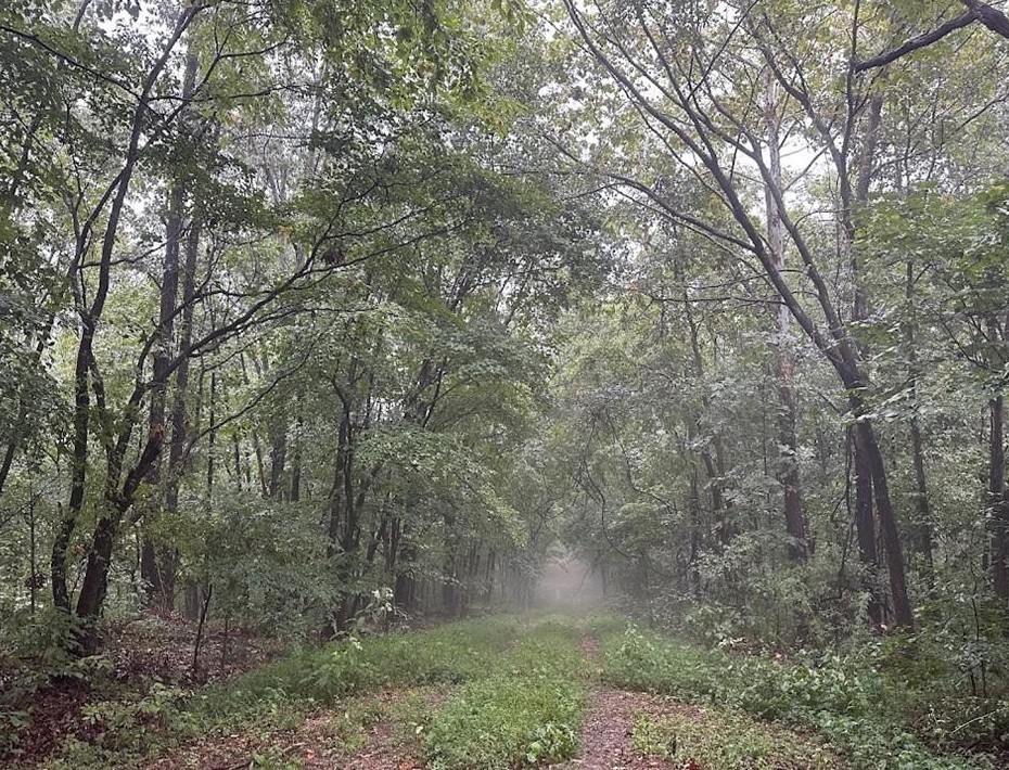 POSY MOUNTAIN RANCH UNIT 4-RURBAN - Land