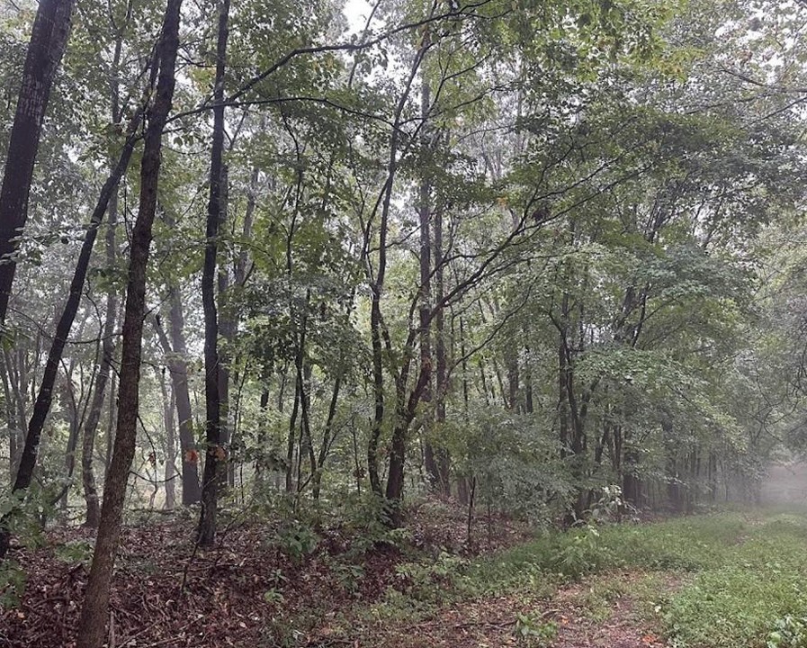 POSY MOUNTAIN RANCH UNIT 4-RURBAN - Land