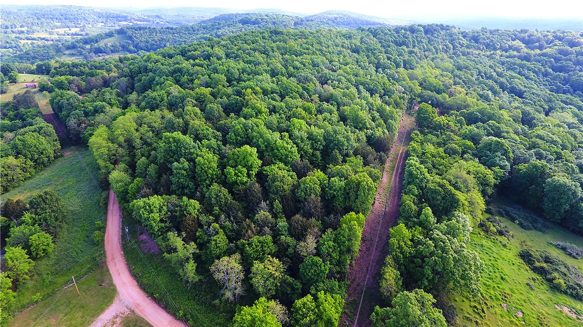Tucked away in the heart of the Ozark Mountains, just two miles from Japton, this mountaintop property offers a rare blend of rugged wilderness and modern readiness. With county road access, a gated entrance, and electric already on-site, it’s the perfect location to build your dream hunting cabin or off-grid homestead. Whether you’re looking for a private hunting sanctuary, a place to establish a self-sufficient lifestyle, or a long-term land investment, this property combines natural resources, historical charm, and practical amenities in one unforgettable Ozark retreat.