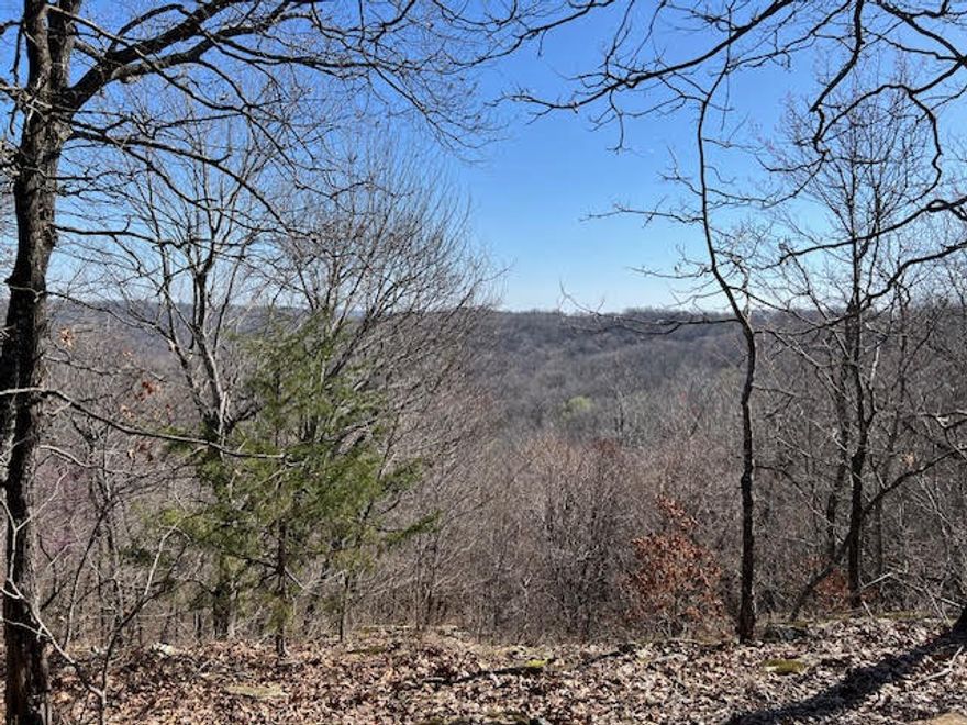 Discover 34 acres of wooded, secluded land offering endless possibilities. This rural property is rich in natural beauty, featuring mature timber, privacy, and abundant wildlife.
Ideal for a custom home, recreational retreat, or investment opportunity, the acreage provides plenty of space to build, explore, and enjoy the outdoors. If you’ve been searching for a peaceful setting away from the noise, this property delivers the privacy and potential you’ve been looking for.