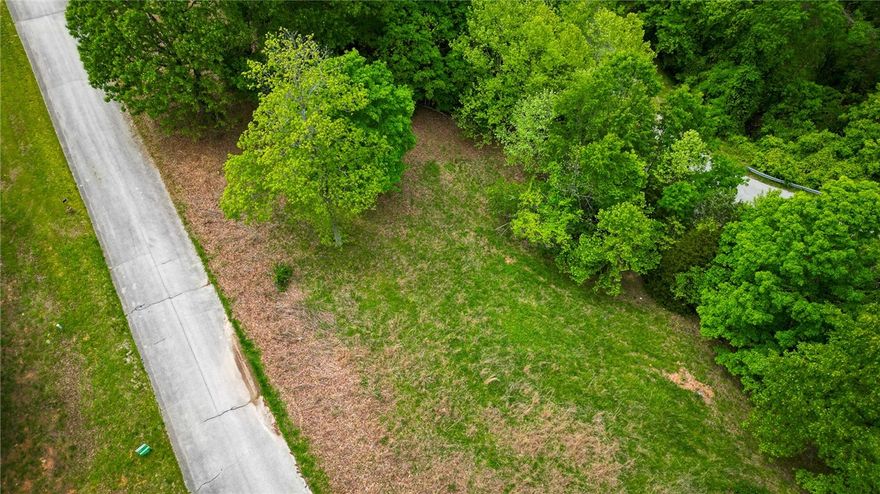 This lot is perfect to build your dream home. Located in the beautiful Mountain Lake Estates, this piece of land is ready for what ever your heart desires. With gorgeous Beaver Lake views, you will be sure to enjoy the serenity and peace that it will bring. Call today to schedule your showing.