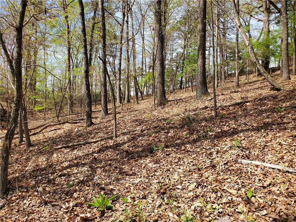 Oak Bluff Summit Rurban - Land