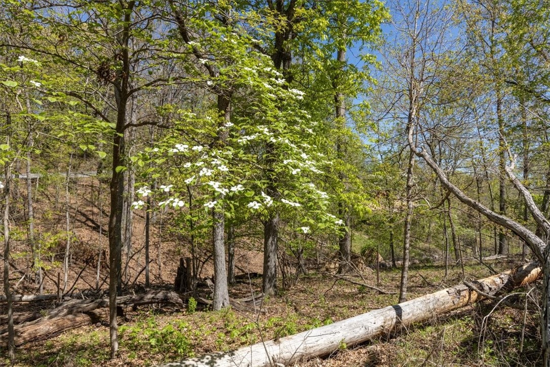 Oak Bluff Summit Rurban - Land