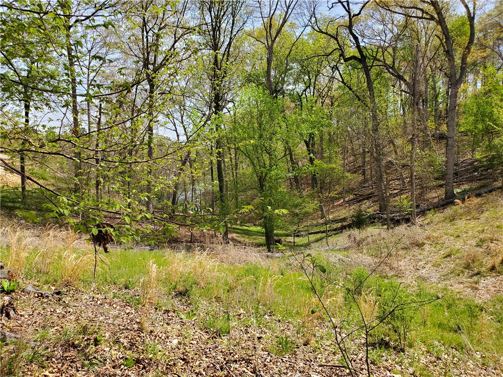 Oak Bluff Summit Rurban - Land