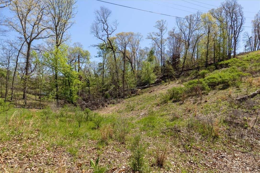 Oak Bluff Summit Rurban - Land