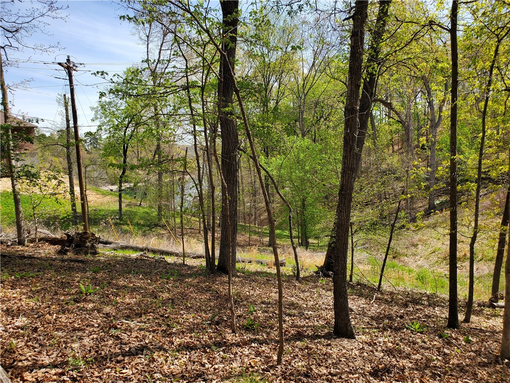 Oak Bluff Summit Rurban - Land