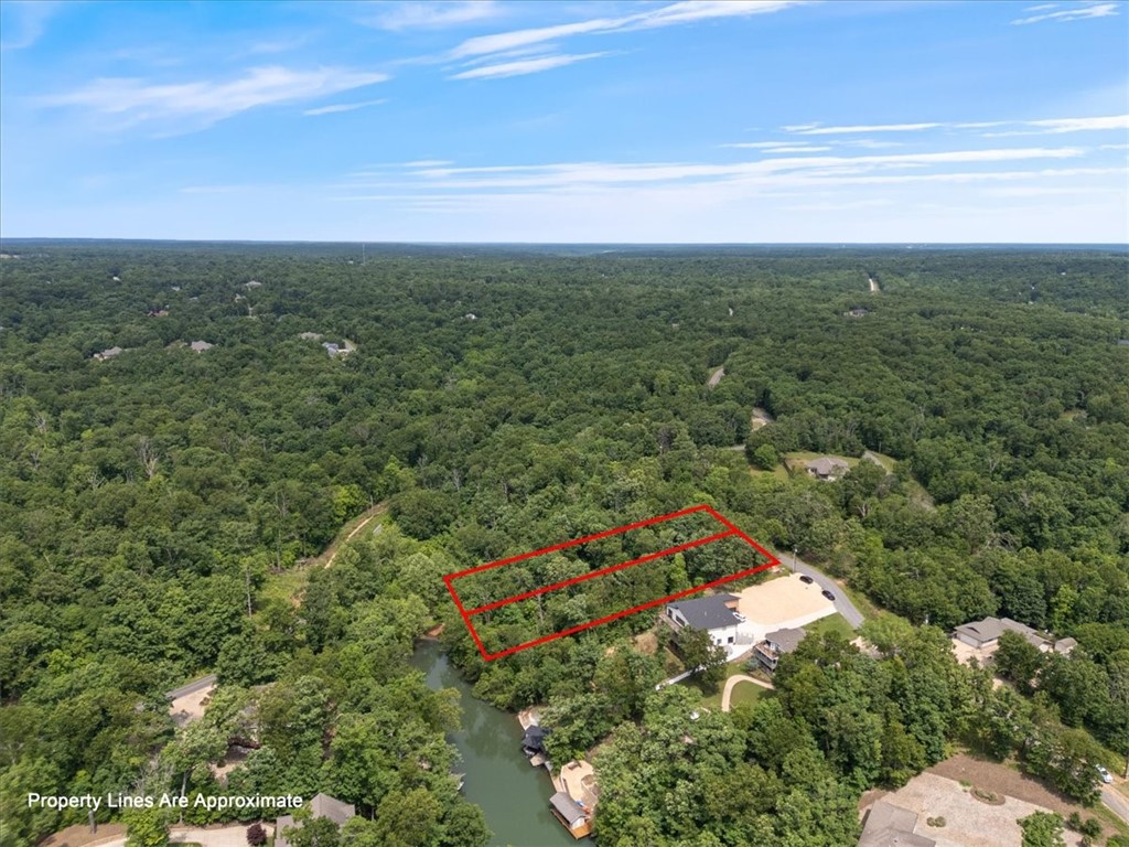 It's LAKE TIME! Loch Lomond is the largest lake in Bella Vista. Ready for your dream house and a spectacular custom dock. This is a .63 acre lot, and you have the option to buy the adjoining lot MLS # 1309390 for a 1.25 acre combined estate The future of Bella Vista looks bright, with our current fabulous bike trails, lakes, golf, tennis, fitness and more developments to come!