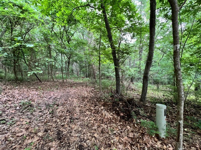 This beautiful lot is tucked in behind Metfield Golf Course and is close to the Country Club. North 40 Bike Trail, and everything that Bella Vista has to offer. City sewer is even available so no need to worry about where to place the septic system! Build your new home near and enjoy the Bella Vista bike trails, community pool, golf courses, pickle ball courts, lakes and more! Great location!