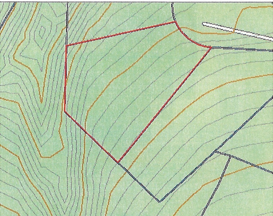 Gently sloping, wooded, but no road.